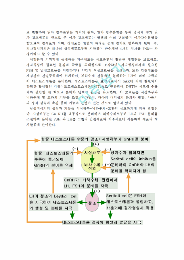 고세균 구조